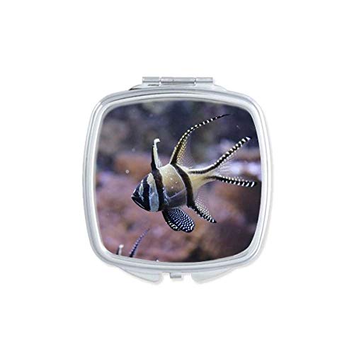 Океан риба наука природна слика Слика Преносна компактен џеб шминка двострано стакло