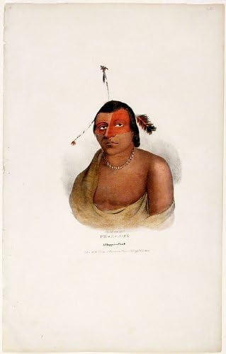 Јп-А-Џик Шеф На Чипева. Преземено со Договорот Од Прери ду Чиен 1825 Од Џ. О. Луис.
