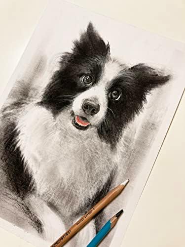 Портрет за миленичиња нацртано со рака, персонализирано кучиња мачки животни кои сликаат од фото миленичиња спомен -подарок