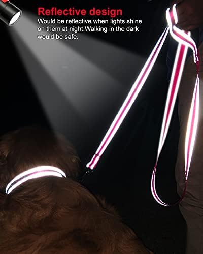 JOYTALE 14-20 '' LED јака за кучиња и 5ft двострана рефлексивна поводник, осветлете ја ноќната безбедност за ноќевање за миленичиња